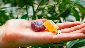 The New Standard in Edibles Why Delta 8 Gummies Are Worth the Hype