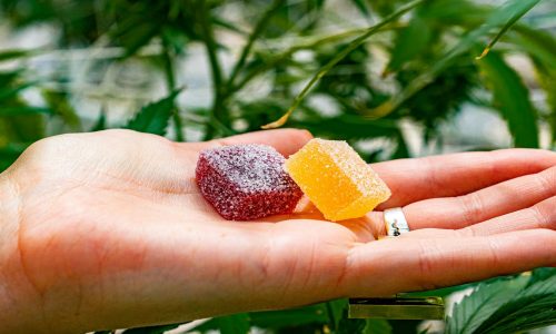 The New Standard in Edibles Why Delta 8 Gummies Are Worth the Hype