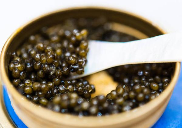 The Science of Savory What Makes Caviar Truly Unique?