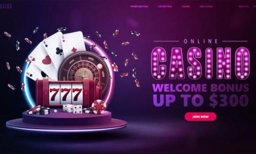 Real User Experiences Shared on Stake Betting Features