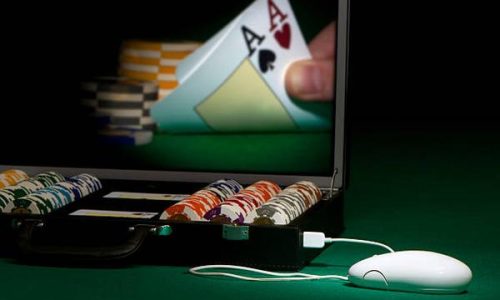 Try daily fantasy and eSports betting features on 5500 bet