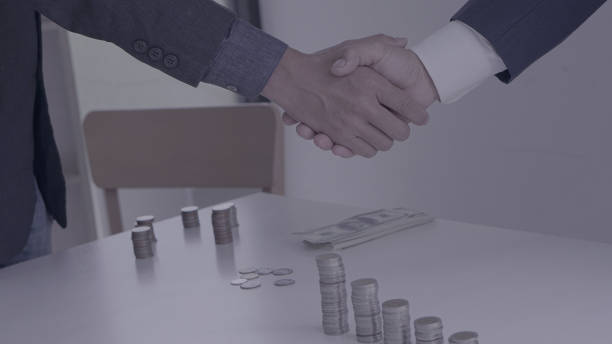 Accredited Investor Profiles for Investment Campaigns